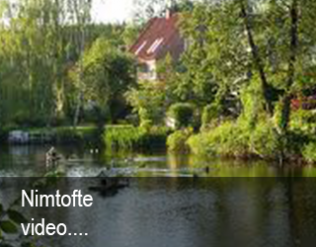 Danish Escort Tandlæge I Stettin Danish Escort Tandlæge I Stettin